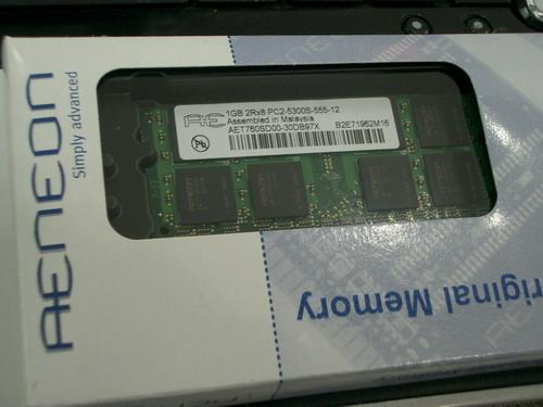 IMGP0166.JPG