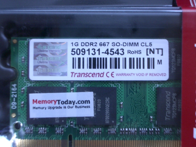 IMGP0195.JPG