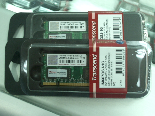 IMGP0196.JPG