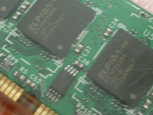 IMGP0298.JPG
