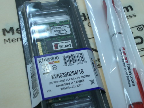 IMGP0302.JPG