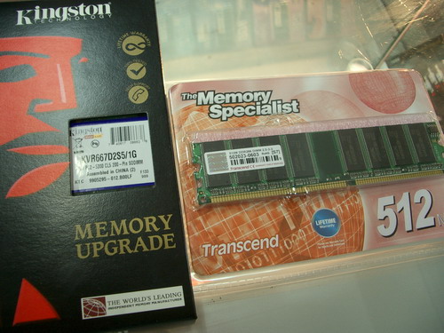 IMGP0303.JPG