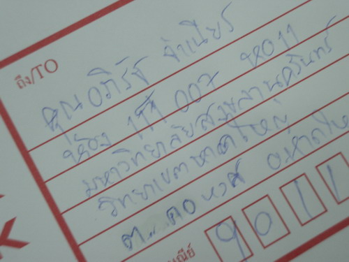 IMGP0355.JPG