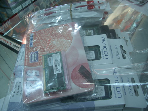 IMGP0455.JPG