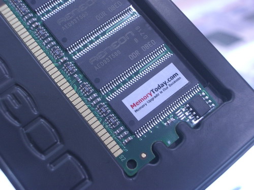 IMGP0509.JPG