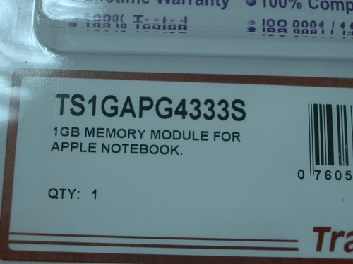 IMGP0533.JPG