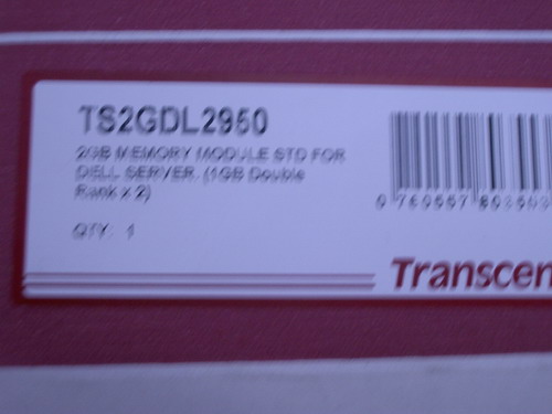 IMGP0772.JPG