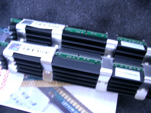 IMGP0817.JPG