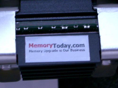 IMGP0819.JPG