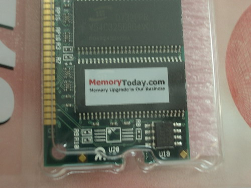 IMGP1196.JPG