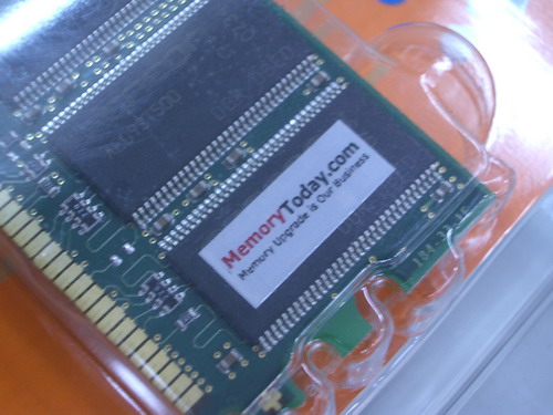 IMGP1204.JPG