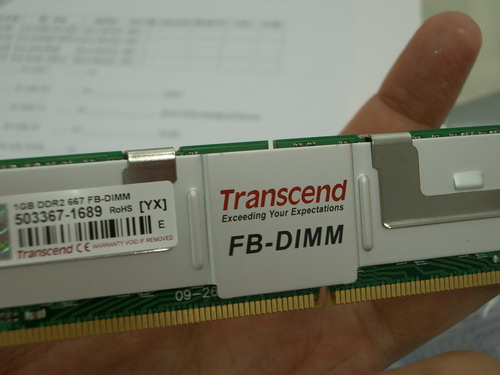 IMGP1269.JPG