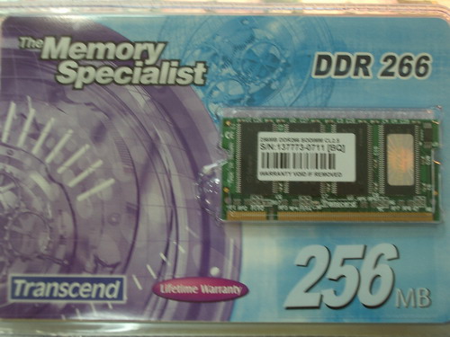 IMGP4021_resize.JPG