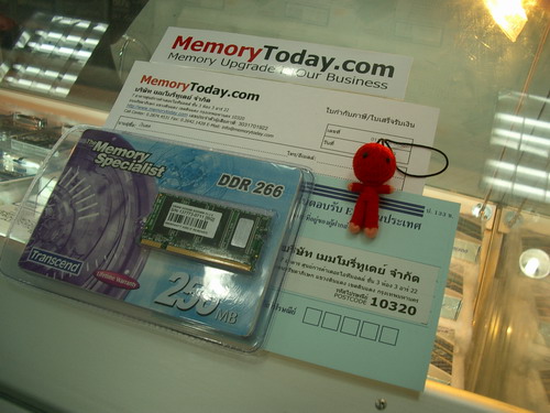 IMGP4023_resize.JPG