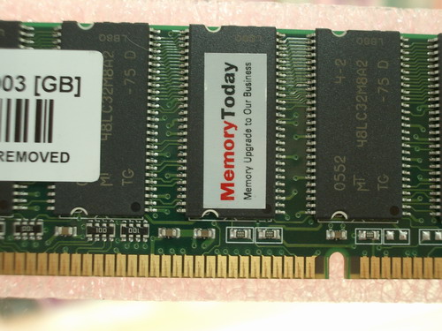 IMGP4025_resize.JPG