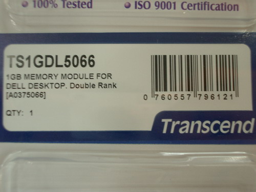 IMGP4177_resize.JPG