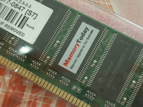 IMGP4180_resize.JPG