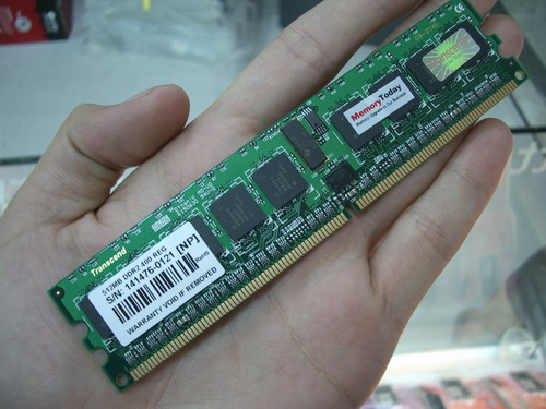 IMGP4501.JPG