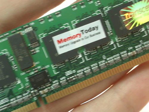 IMGP4502.JPG