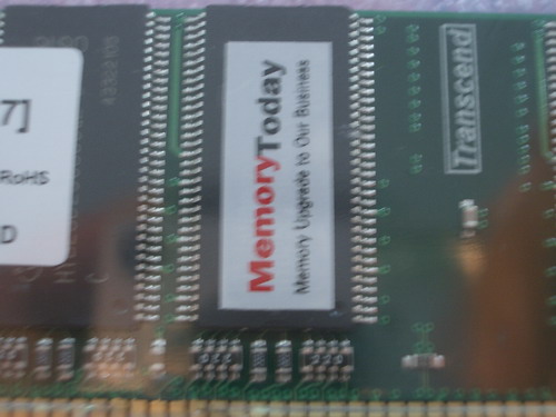 IMGP4648.JPG