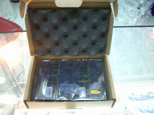 IMGP5011.JPG