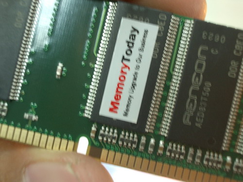 IMGP5094.JPG