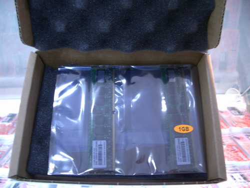 IMGP5246.JPG