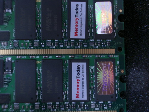 IMGP5257.JPG