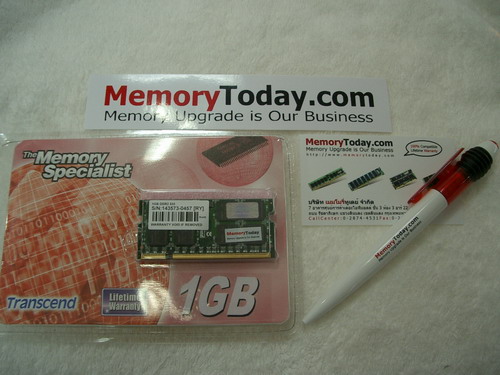 IMGP5293.JPG