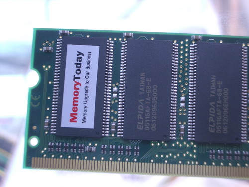 IMGP5636.JPG