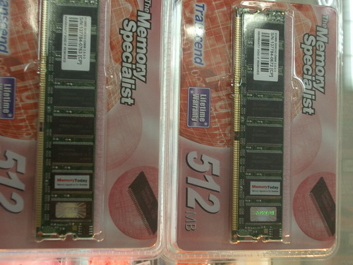 IMGP5648.JPG
