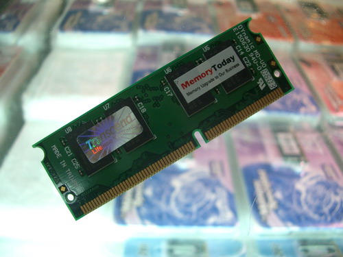 IMGP5666_resize.JPG