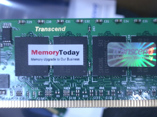 IMGP5900.JPG