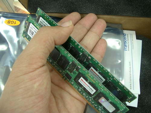 IMGP5901.JPG