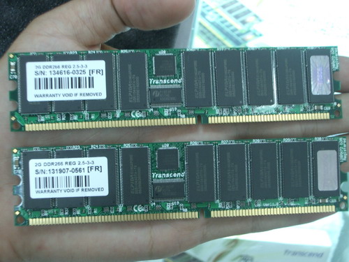 IMGP5959.JPG