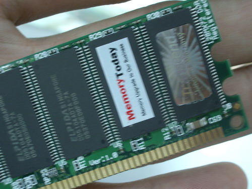 IMGP5973.JPG