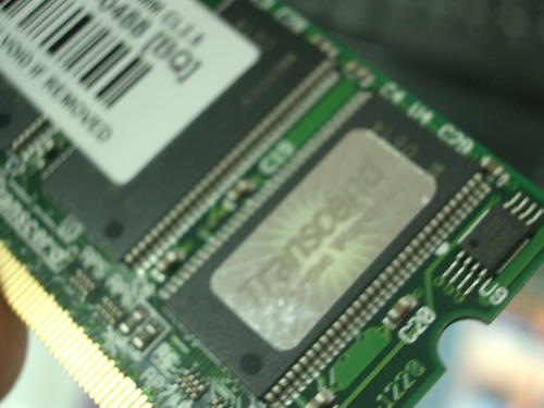 IMGP6009.JPG