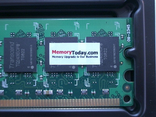 IMGP6038.JPG