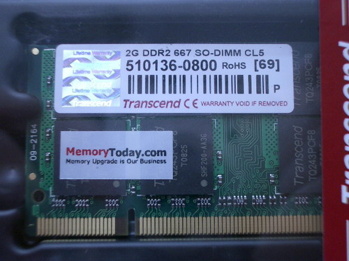 IMGP6043.JPG