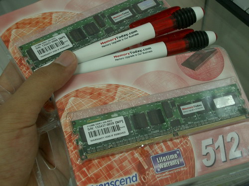 IMGP6055.JPG
