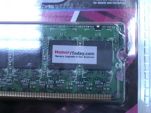 IMGP6055.JPG