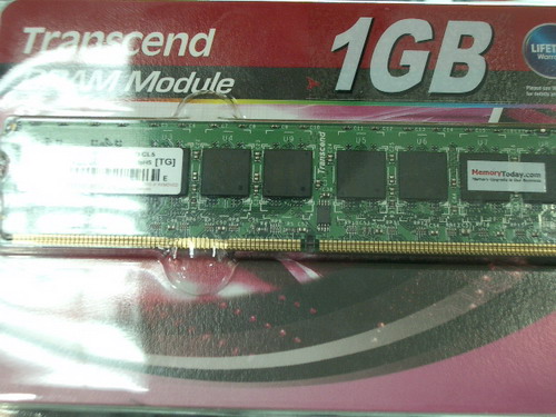 IMGP6057.JPG