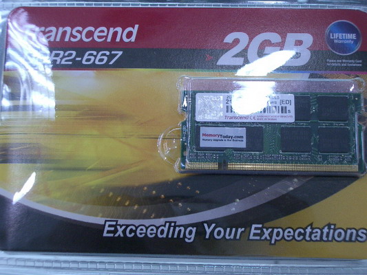 IMGP6071.JPG