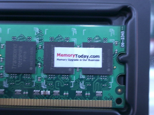 IMGP6073.JPG