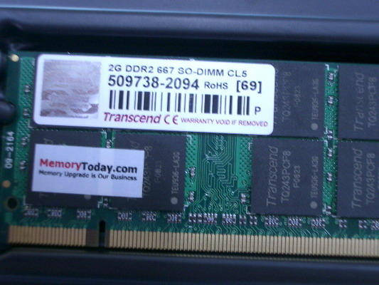 IMGP6076.JPG