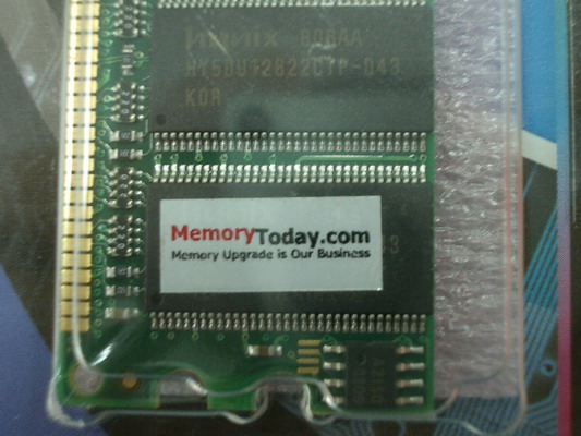 IMGP6082.JPG