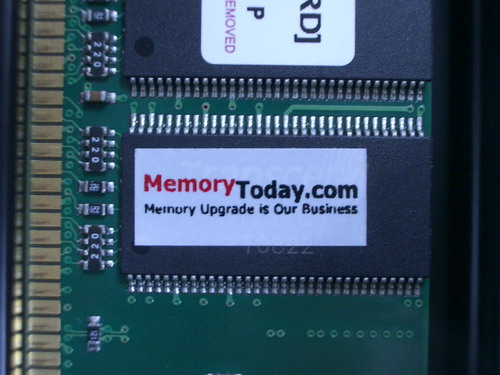 IMGP6098.JPG