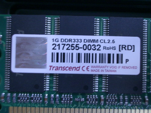 IMGP6100.JPG