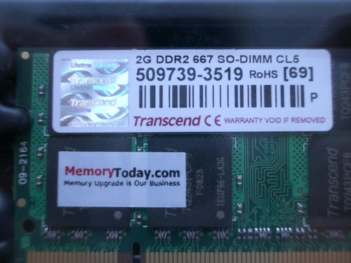 IMGP6104.JPG