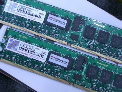 IMGP6111.JPG